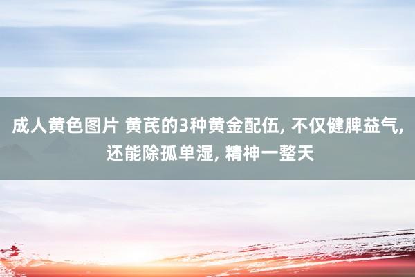 成人黄色图片 黄芪的3种黄金配伍， 不仅健脾益气， 还能除孤单湿， 精神一整天