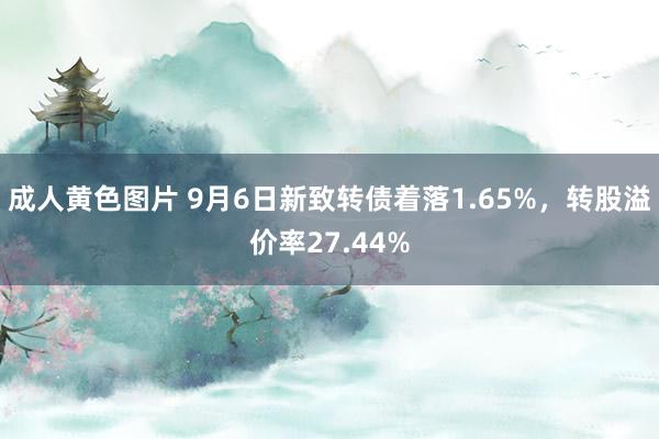 成人黄色图片 9月6日新致转债着落1.65%，转股溢价率27.44%