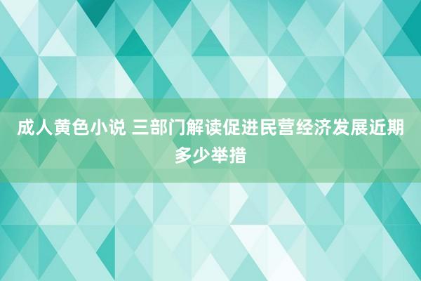 成人黄色小说 三部门解读促进民营经济发展近期多少举措