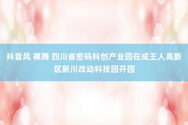 抖音风 裸舞 四川省密码科创产业园在成王人高新区新川改动科技园开园