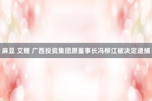 麻豆 艾鲤 广西投资集团原董事长冯柳江被决定逮捕