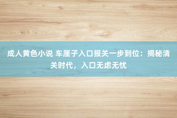 成人黄色小说 车厘子入口报关一步到位：揭秘清关时代，入口无虑无忧