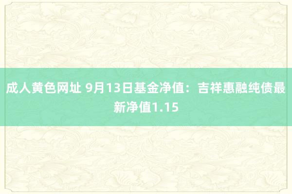 成人黄色网址 9月13日基金净值：吉祥惠融纯债最新净值1.15