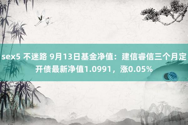 sex5 不迷路 9月13日基金净值：建信睿信三个月定开债最新净值1.0991，涨0.05%