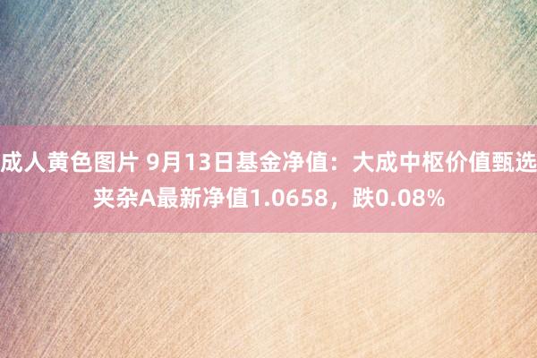 成人黄色图片 9月13日基金净值：大成中枢价值甄选夹杂A最新净值1.0658，跌0.08%