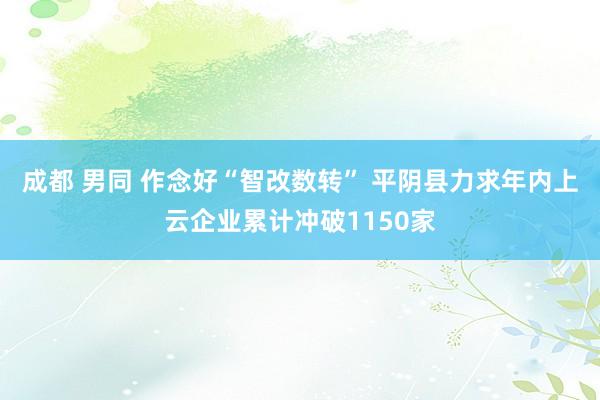 成都 男同 作念好“智改数转” 平阴县力求年内上云企业累计冲破1150家