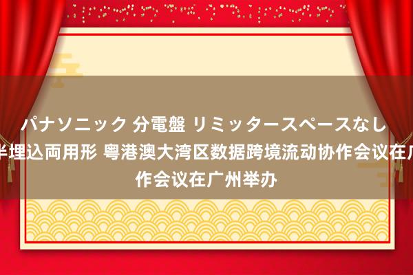 パナソニック 分電盤 リミッタースペースなし 露出・半埋込両用形 粤港澳大湾区数据跨境流动协作会议在广州举办