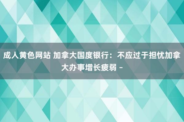 成人黄色网站 加拿大国度银行：不应过于担忧加拿大办事增长疲弱 –