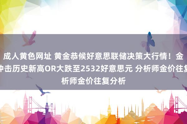 成人黄色网址 黄金恭候好意思联储决策大行情！金价恐冲击历史新高OR大跌至2532好意思元 分析师金价往复分析