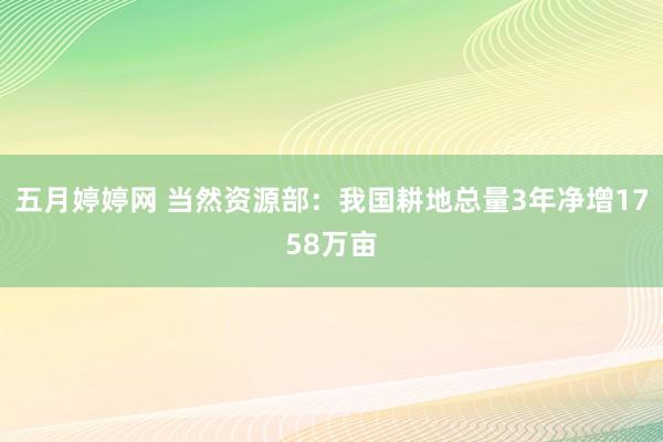 五月婷婷网 当然资源部：我国耕地总量3年净增1758万亩