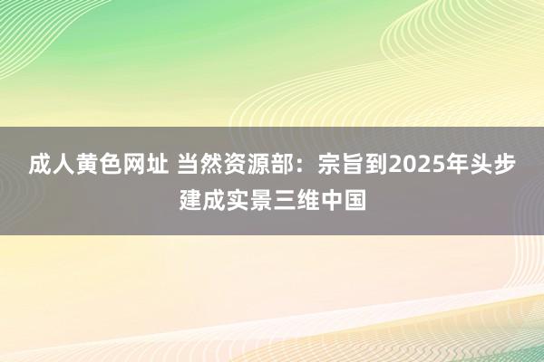 成人黄色网址 当然资源部：宗旨到2025年头步建成实景三维中国