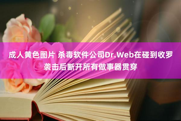 成人黄色图片 杀毒软件公司Dr.Web在碰到收罗袭击后断开所有做事器贯穿