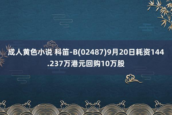 成人黄色小说 科笛-B(02487)9月20日耗资144.237万港元回购10万股