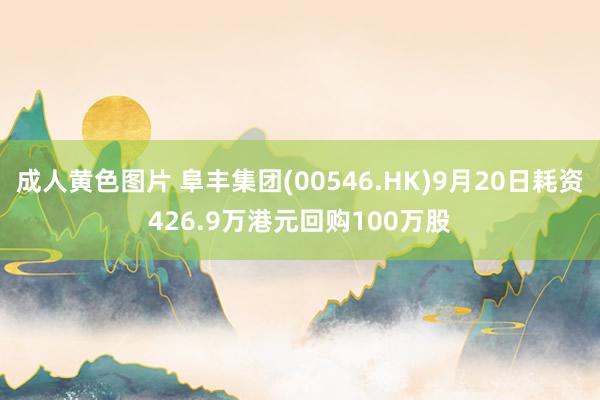 成人黄色图片 阜丰集团(00546.HK)9月20日耗资426.9万港元回购100万股