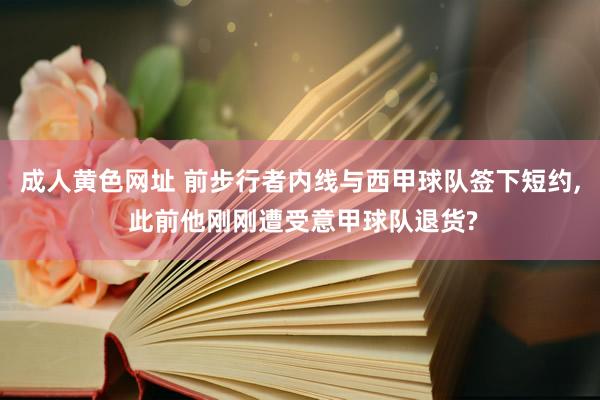 成人黄色网址 前步行者内线与西甲球队签下短约， 此前他刚刚遭受意甲球队退货?