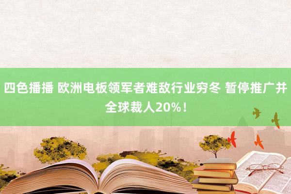 四色播播 欧洲电板领军者难敌行业穷冬 暂停推广并全球裁人20%！