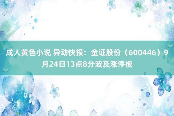 成人黄色小说 异动快报：金证股份（600446）9月24日13点8分波及涨停板