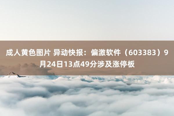 成人黄色图片 异动快报：偏激软件（603383）9月24日13点49分涉及涨停板