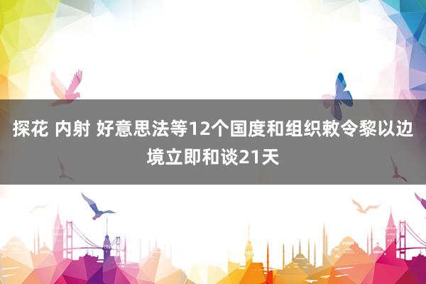 探花 内射 好意思法等12个国度和组织敕令黎以边境立即和谈21天