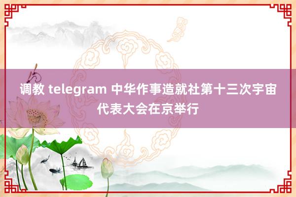 调教 telegram 中华作事造就社第十三次宇宙代表大会在京举行