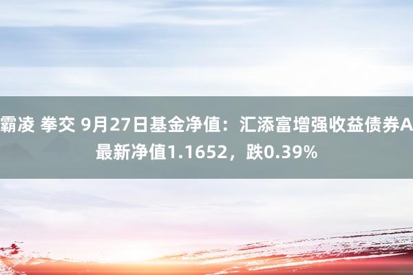 霸凌 拳交 9月27日基金净值：汇添富增强收益债券A最新净值1.1652，跌0.39%