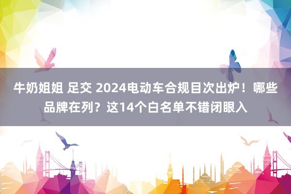 牛奶姐姐 足交 2024电动车合规目次出炉！哪些品牌在列？这14个白名单不错闭眼入