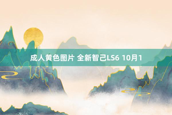 成人黄色图片 全新智己LS6 10月1