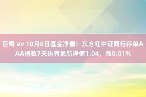 巨臀 av 10月8日基金净值：东方红中证同行存单AAA指数7天执有最新净值1.04，涨0.01%