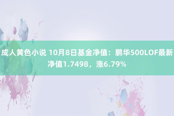 成人黄色小说 10月8日基金净值：鹏华500LOF最新净值1.7498，涨6.79%