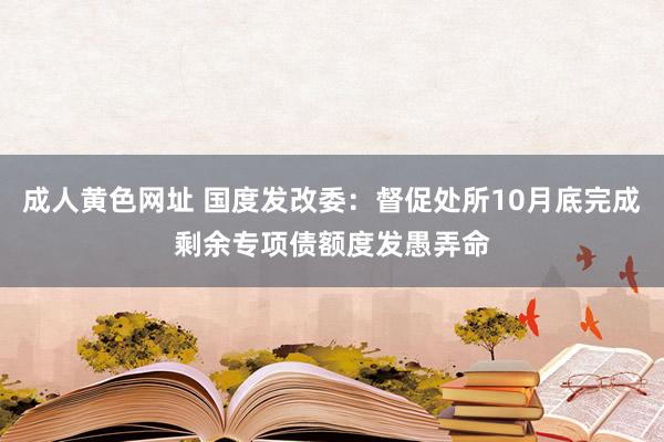 成人黄色网址 国度发改委：督促处所10月底完成剩余专项债额度发愚弄命