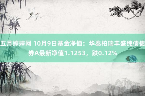 五月婷婷网 10月9日基金净值：华泰柏瑞丰盛纯债债券A最新净值1.1253，跌0.12%