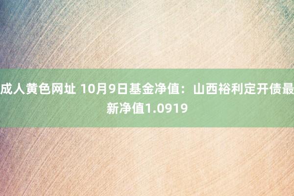 成人黄色网址 10月9日基金净值：山西裕利定开债最新净值1.0919