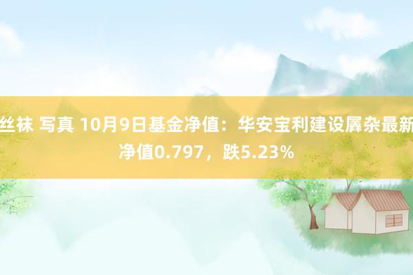 丝袜 写真 10月9日基金净值：华安宝利建设羼杂最新净值0.797，跌5.23%