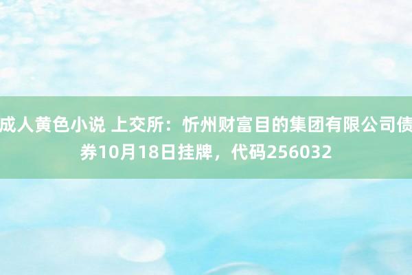 成人黄色小说 上交所：忻州财富目的集团有限公司债券10月18日挂牌，代码256032