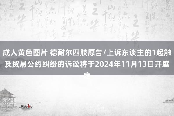 成人黄色图片 德耐尔四肢原告/上诉东谈主的1起触及贸易公约纠纷的诉讼将于2024年11月13日开庭