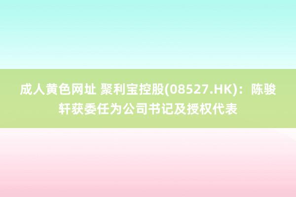 成人黄色网址 聚利宝控股(08527.HK)：陈骏轩获委任为公司书记及授权代表