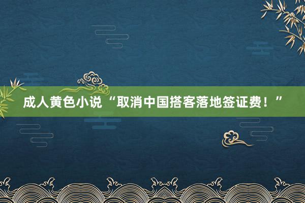 成人黄色小说 “取消中国搭客落地签证费！”