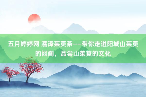 五月婷婷网 濩泽茱萸茶——带你走进阳城山茱萸的闾阎，品尝山茱萸的文化