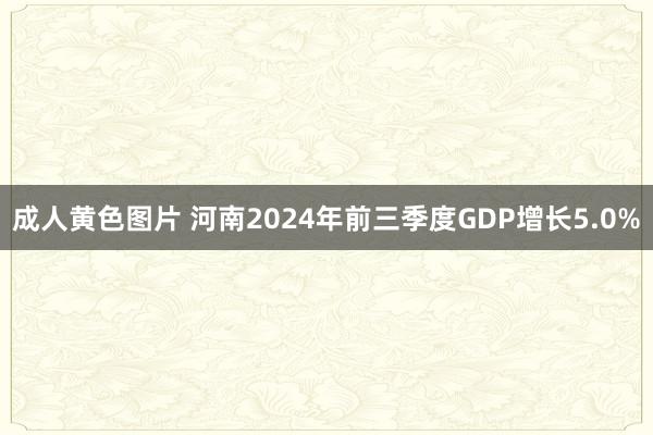 成人黄色图片 河南2024年前三季度GDP增长5.0%