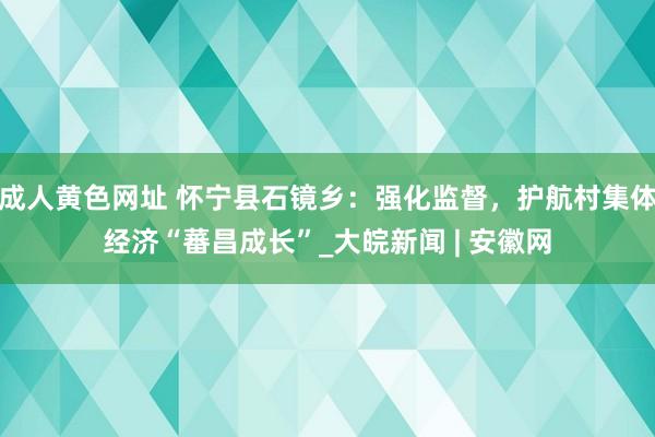 成人黄色网址 怀宁县石镜乡：强化监督，护航村集体经济“蕃昌成长”_大皖新闻 | 安徽网