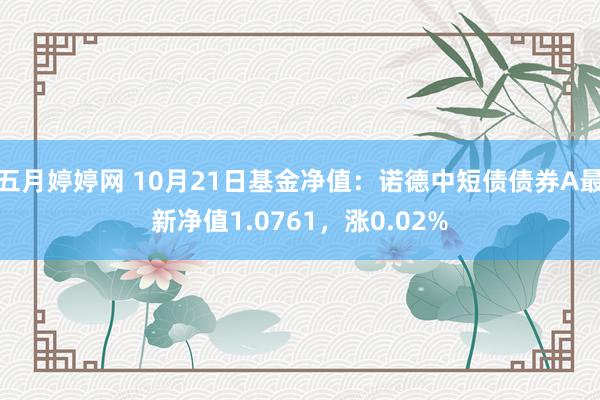 五月婷婷网 10月21日基金净值：诺德中短债债券A最新净值1.0761，涨0.02%