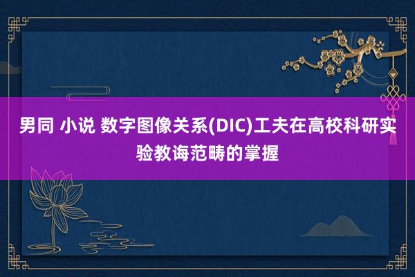 男同 小说 数字图像关系(DIC)工夫在高校科研实验教诲范畴的掌握