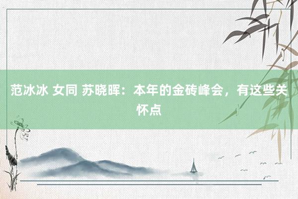 范冰冰 女同 苏晓晖：本年的金砖峰会，有这些关怀点