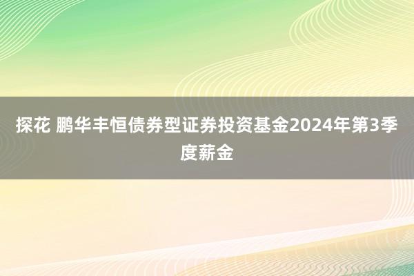 探花 鹏华丰恒债券型证券投资基金2024年第3季度薪金