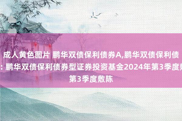 成人黄色图片 鹏华双债保利债券A，鹏华双债保利债券B: 鹏华双债保利债券型证券投资基金2024年第3季度敷陈