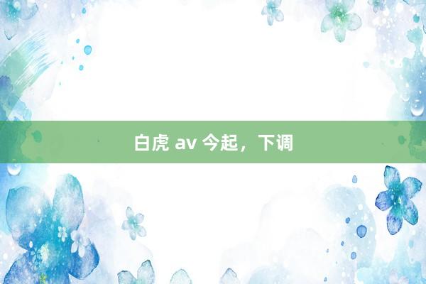 白虎 av 今起，下调