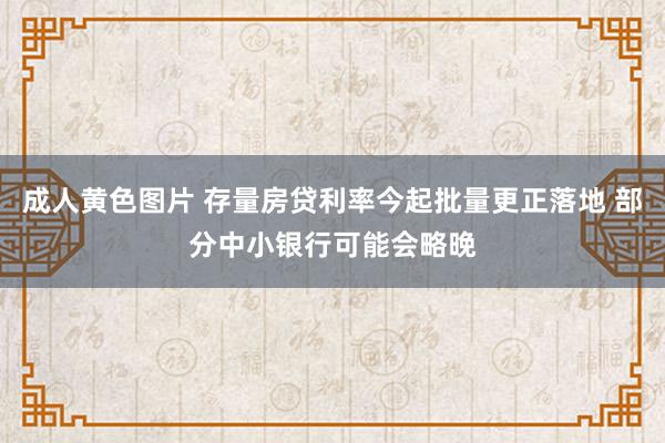 成人黄色图片 存量房贷利率今起批量更正落地 部分中小银行可能会略晚