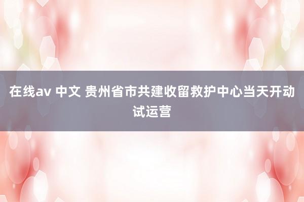 在线av 中文 贵州省市共建收留救护中心当天开动试运营