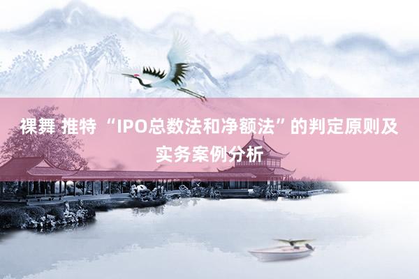 裸舞 推特 “IPO总数法和净额法”的判定原则及实务案例分析