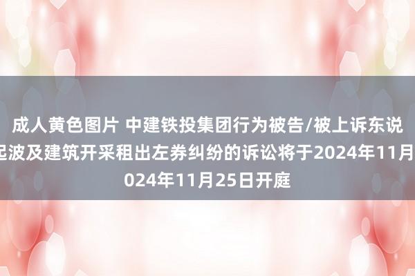 成人黄色图片 中建铁投集团行为被告/被上诉东说念主的1起波及建筑开采租出左券纠纷的诉讼将于2024年11月25日开庭